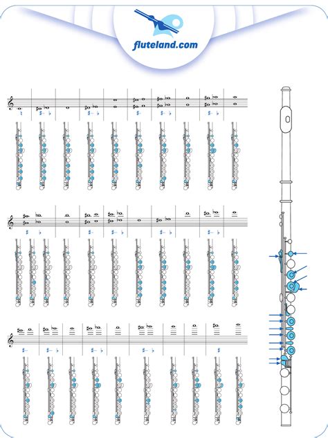 Sample Flute Fingering Chart Free Download