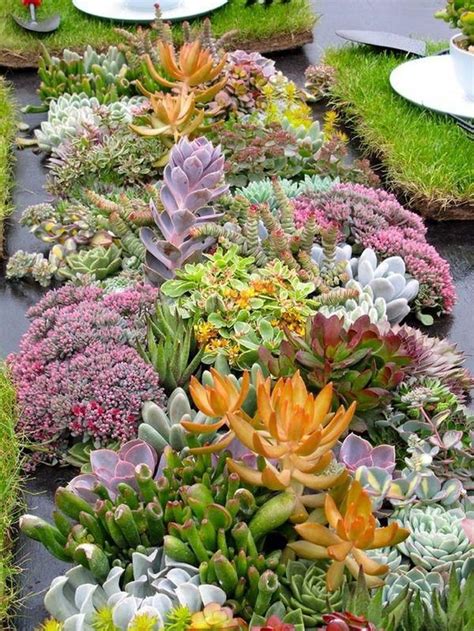 32 Incredible Cactus Garden Landscaping Ideas Best For Summer ...