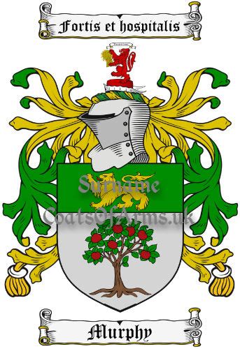 Murphy (Wexford, Ireland) Coat of Arms (Family Crest) Download