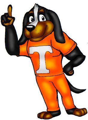 87 best TENNESSEE VOLS images on Pinterest | Tennessee football, Tennessee volunteers football ...