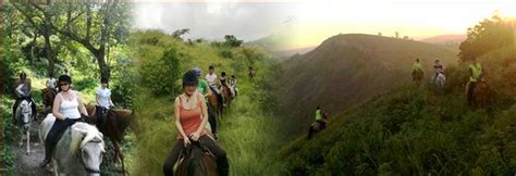 Giba Gorge Horse Trails (Durban) - 2021 All You Need to Know BEFORE You Go (with Photos ...