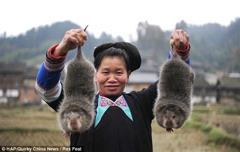 Health, Love and Entertainment: China's Bizarre Bamboo Rat farms