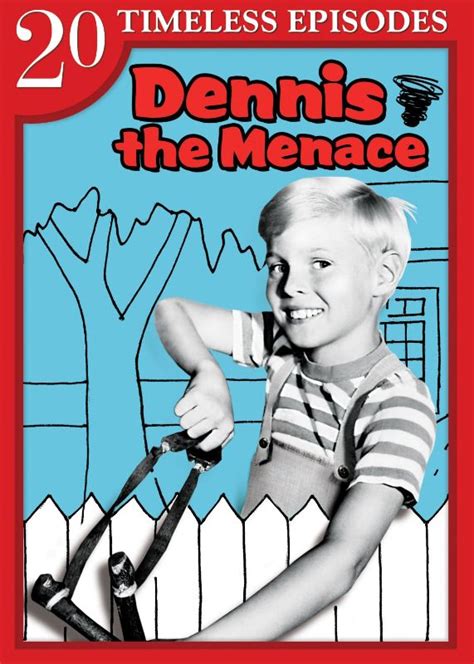 Dennis the Menace: 20 Timeless Episodes [2 Discs] [DVD] - Best Buy