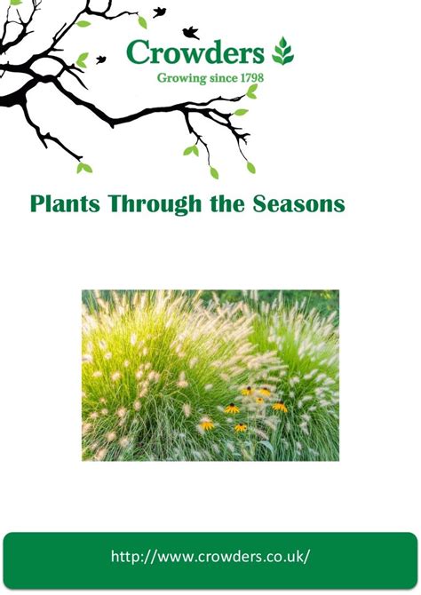 Plants through the Seasons