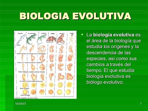 Evolucion