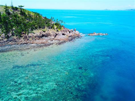 Airlie Beach Scuba Diving Tour