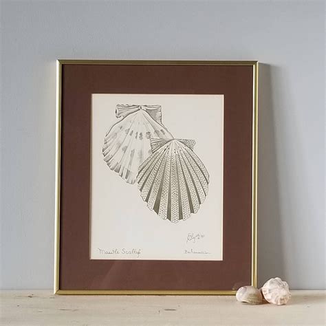 Seashell Prints - tyjsergdhj2