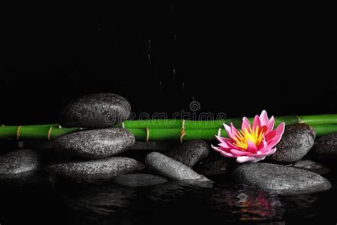 Beautiful Zen Garden with Lotus Flower and Pond on Background. Space for Text Stock Image ...