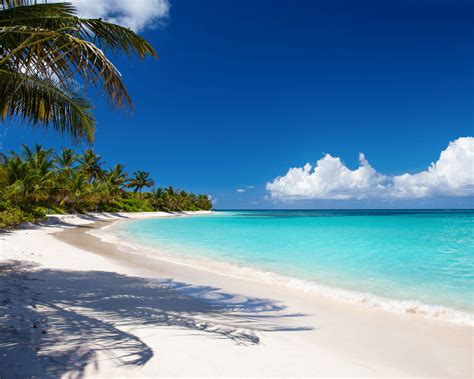 Flamenco Beach Puerto Rico - Snorkel and Hike