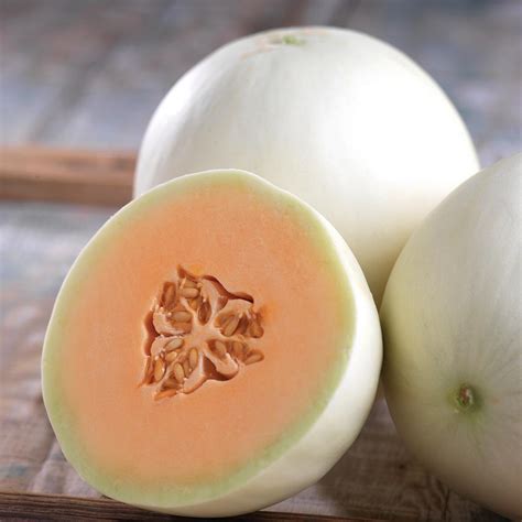 10 Cantaloupe And Melon Varieties You Need To Know - Growing Produce