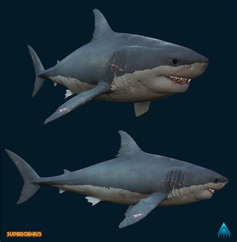 DEPTH, Robert Fink | Megalodon, Character modeling, Great white shark