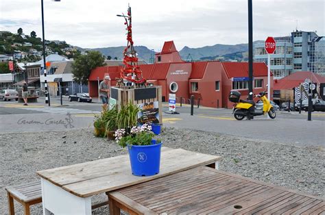 Assorted Goodies: A Quiet Day Around Lyttelton