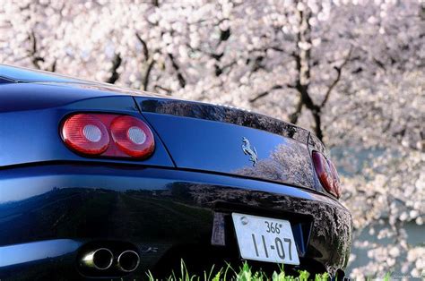 Ferrari 456GT | Ferrari 456GT with cherry blossoms | Scuderia Blue ...