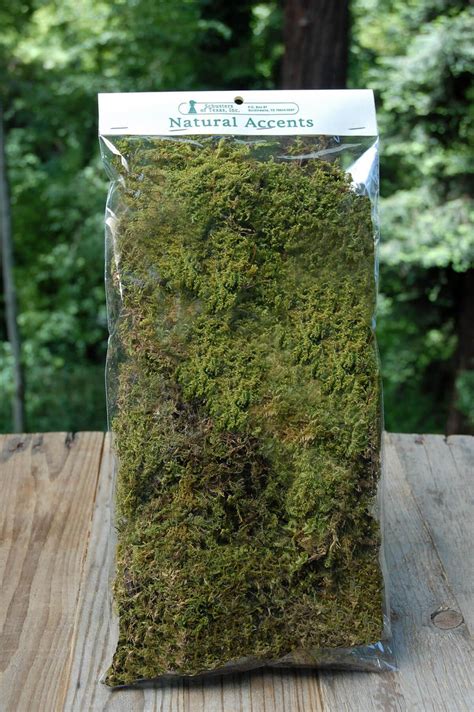 Natural Sheet Moss 2oz Bag - Save-On-Crafts