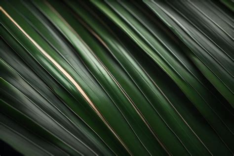 Premium Photo | Green palm leaves background