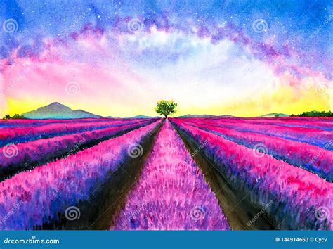 Watercolor Painting - Lavender Field with Galaxy Sky Stock Illustration - Illustration of sunset ...