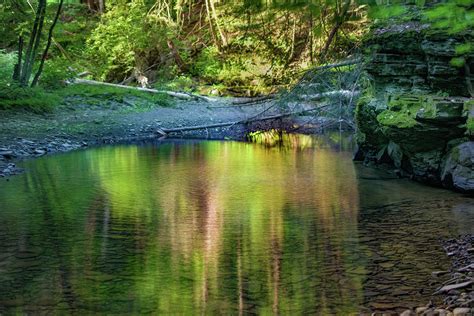 Reflection in Sage Creek Photograph by Chester Wiker - Fine Art America