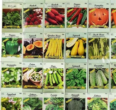 Amazon Lowest Price: 50 Packs Assorted Heirloom Vegetable Seeds