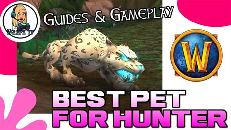 World of warcraft : Best pet for hunter (guide bfa) - YouTube