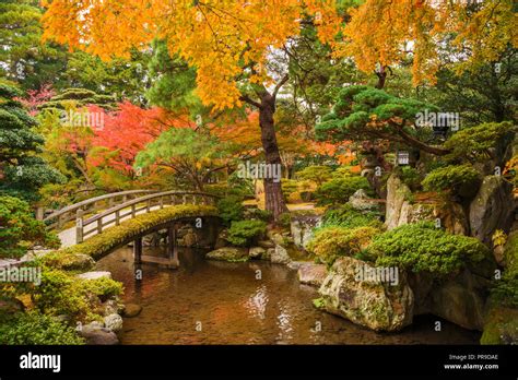 Autumn view of Kyoto Imperial Palace gardens Stock Photo - Alamy