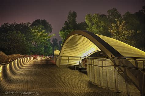 Henderson Waves Bridge | Broke Tourist