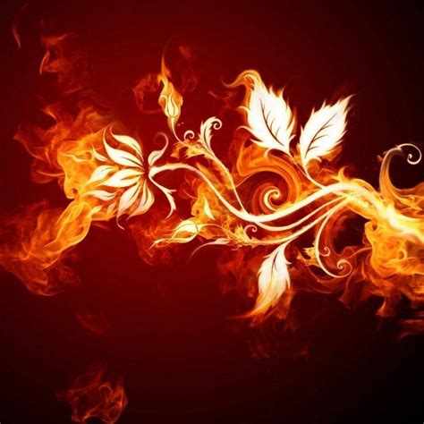 fire, Flowers Wallpapers HD / Desktop and Mobile Backgrounds