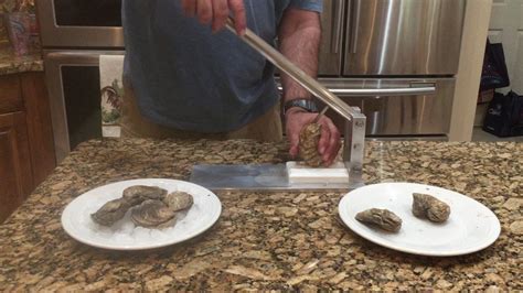 Shucking Oysters with Easy to Use Oyster Shucker - YouTube