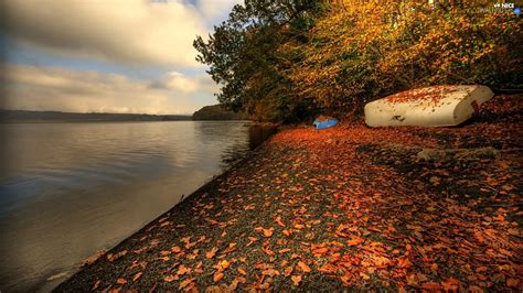 autumn, lake, Beaches - Nice wallpapers: 1920x1080