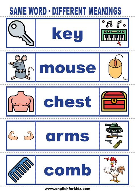 Vocabulary Cards: Same Word - Different Meanings