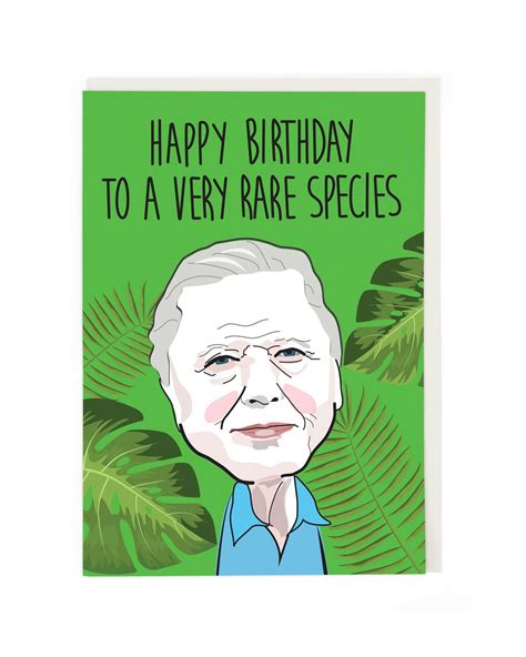Birthday : Cath Tate Cards