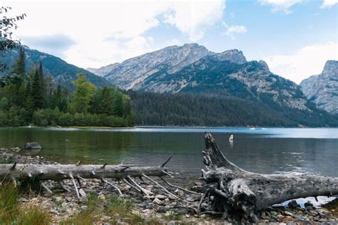 Visit These 6 Lakes for the Best Swimming in Grand Tetons