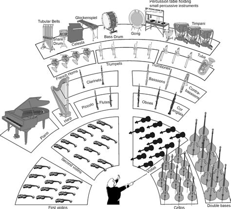 A Symphony for kids and Teens!: Meet The Parts of a Symphony!