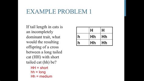 Punnett Square Practice Problems Worksheet – Zip Worksheet