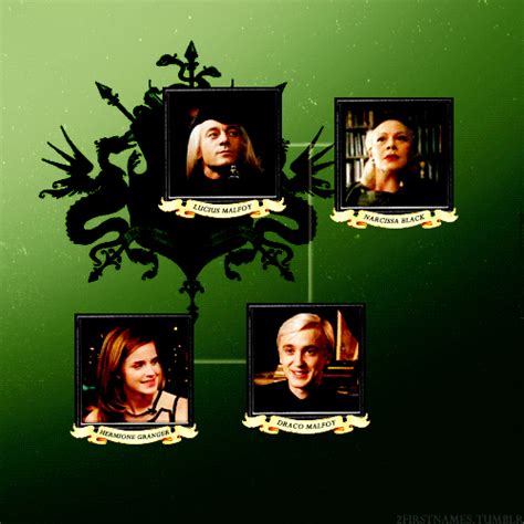 Malfoy Family Tree - Dramione Photo (26021714) - Fanpop