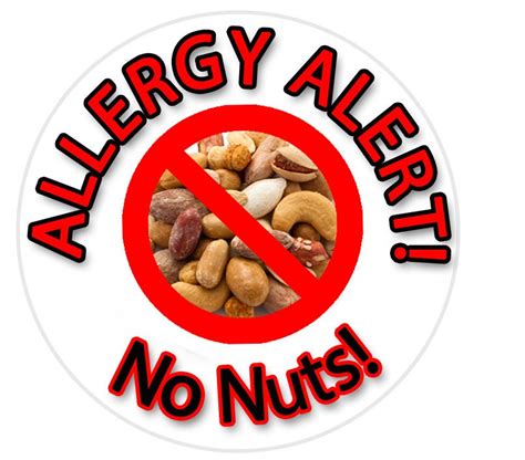No Nuts Sticker Allergy Sticker Nut Allergy Sticker Allergy | Etsy