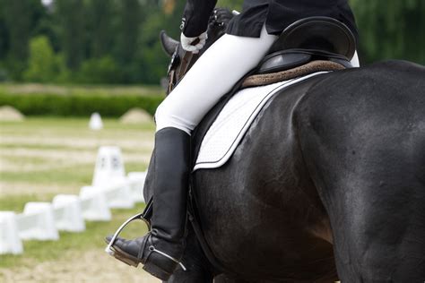 8 Best Dressage Saddle Pads For Letter-Perfect Tests - Horse Rookie