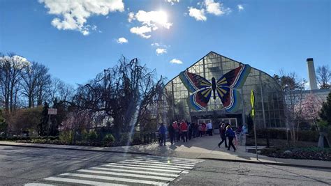 Krohn Conservatory Butterfly Show 2025 Dates - Dorry Gertrud