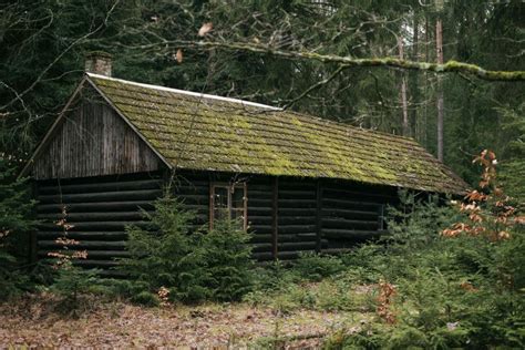 Magical Abandoned Cabin in Woods | Copyright-free photo (by M. Vorel) | LibreShot