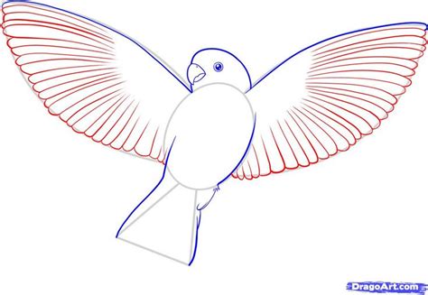 small bird drawing - Google zoeken | Bird drawings, Easy drawings, Fly drawing