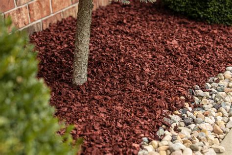 Which Is The Best Mulch For Flower Beds?