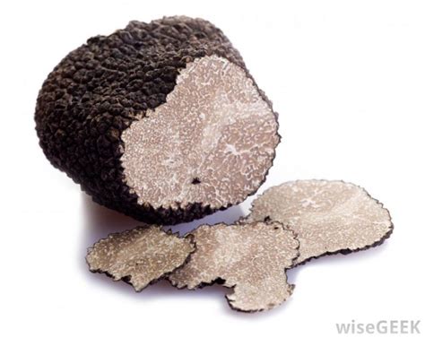 First Scientifically Cultivated Truffle Harvest in America - Rus Tourism News