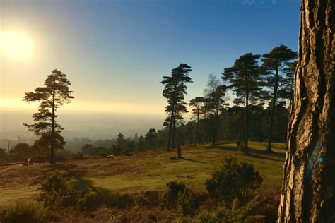 10 of the Best Surrey Hills Walks to Explore | Day Out in England