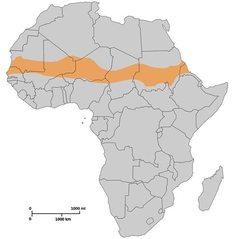 Which of the arrows on the climate map above is pointing to the Sahel, the semiarid region ...