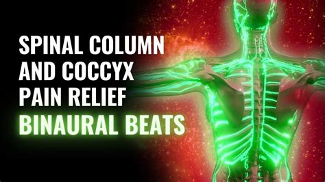 Spinal Column and Coccyx Pain Relief: Develop Brain Spinal Cord and ...