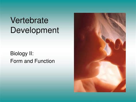 PPT - Vertebrate Development PowerPoint Presentation, free download ...