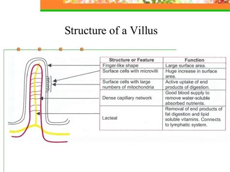 6.1 digestion