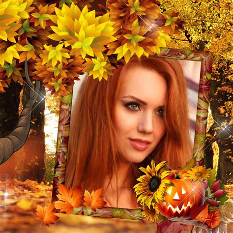 Barbara's Autumn Fall - Autumn Leaves Nature - Autumn Leaves Nature