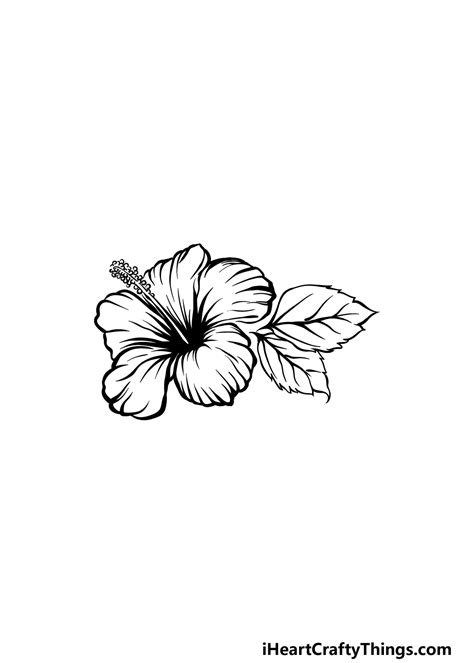 Draw A Hibiscus Flower And Label Its Parts - Home Alqu