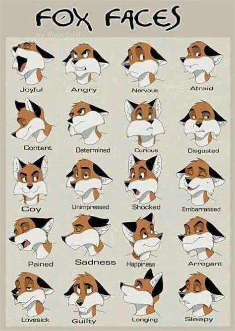 Just awesome | Fox face, Furry art, Drawing expressions