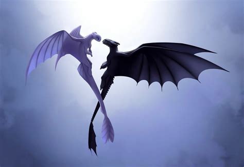 Toothless and light fury - lightningzik